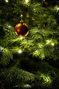 Holiday Music for Elementary Band