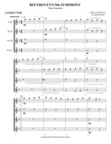 Beethoven's 9th Symphony - Flute Ensemble